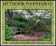 Outdoor-Wednesday-logo