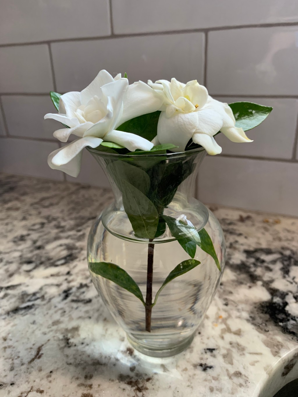 Setting Myself Free of Fitted Sheet Folding, and New Book Cover&nbsp;Reveal!