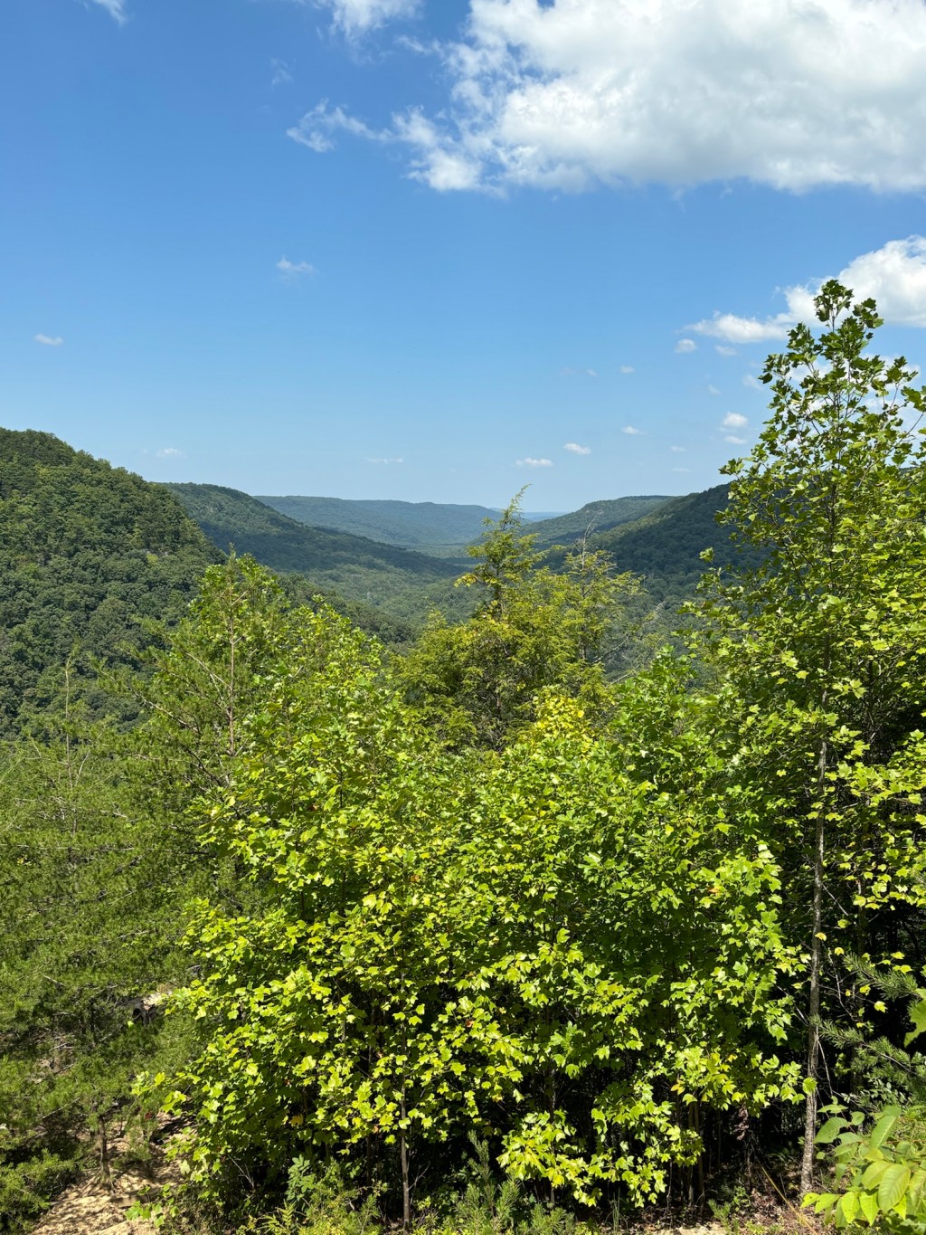 Girl Camper goes to Tennessee, Part&nbsp;1